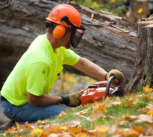 tree services Fort Sumner